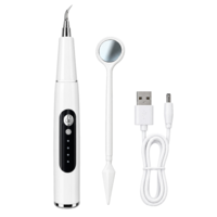 Умный скалер для ухода за зубами Smart Dental Scaler