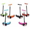 Самокат 21st scooter Maxi Micro оптом